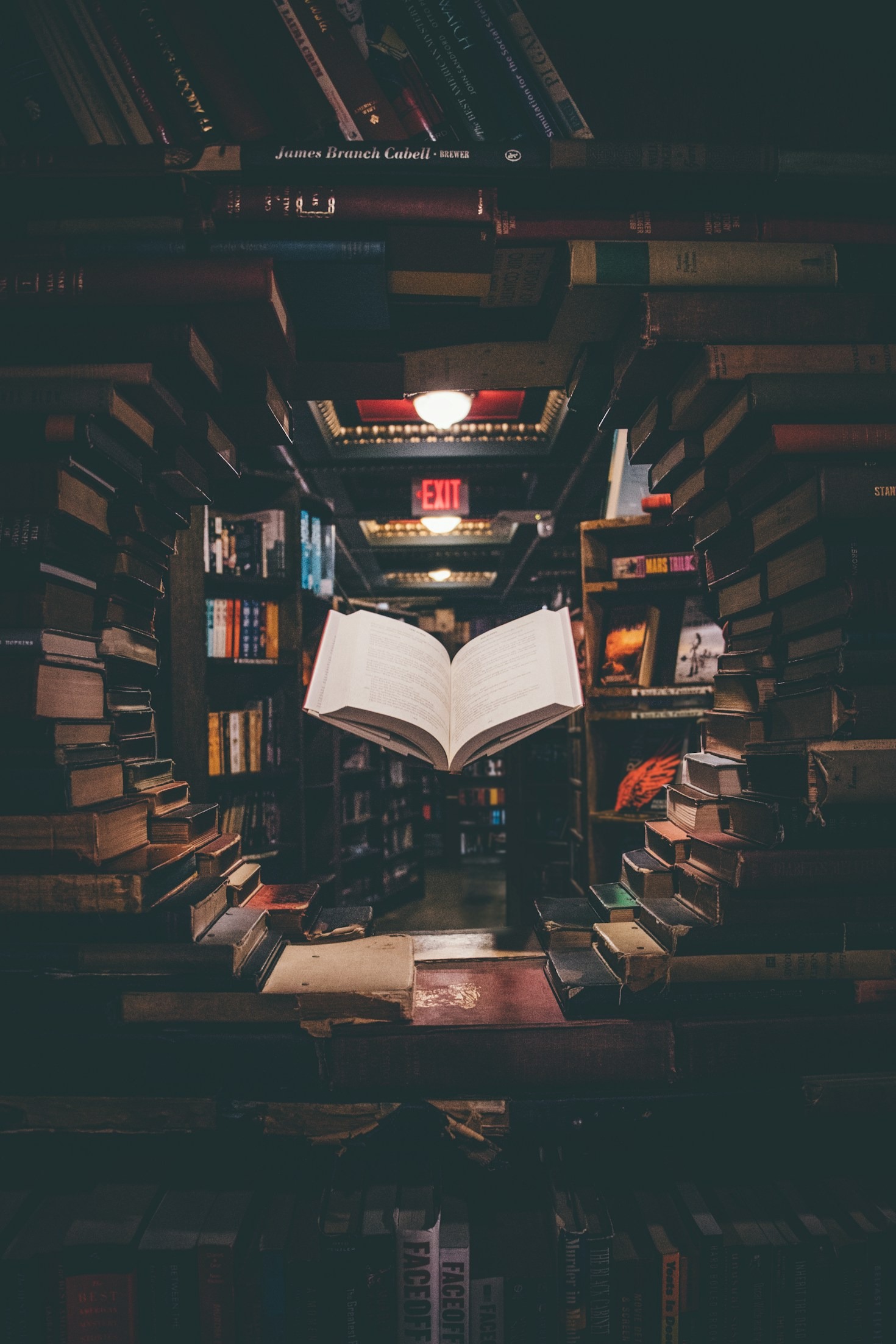 The Role of Imagination in Crafting Narratives